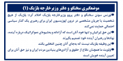 موضعگیری سخنگو و دفتر وزیرخارجه بلژیک (۱) 
